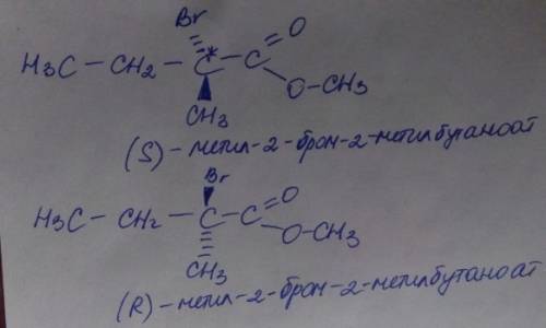 Изобразите формулы стереоизомеров метил-2-бром-2-метилбутаноат