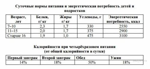 11-летний николай в зимние каникулы посетил санкт-петербург. перед экскурсией в петропавловскую креп