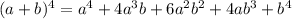 (a + b)^4 = a^4 + 4a^3b + 6a^2b^2 + 4ab^3 + b^4