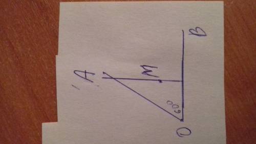 Постройте угол aob,градусная мера которого равна 60°.отметьте точку m внутри угла.через эту точку пр