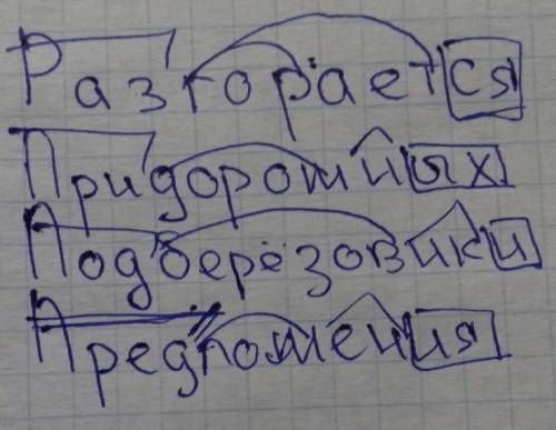 Морфемный разбор слов - разгорается, придорожных, подберёзовики, предложения.