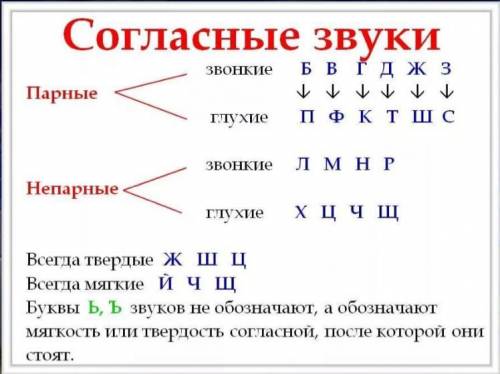 Записать в тетради все согласные звуки по ударные, безударные,звонкие, глухие