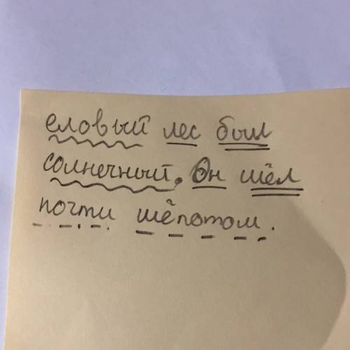 Еловый лес был солнечный. он шел почти шёпотом. найти грамматическую основу.