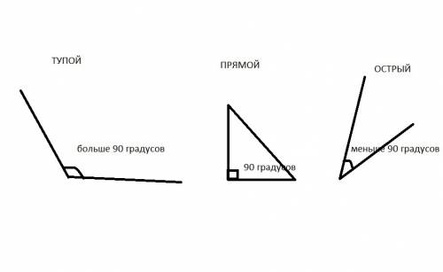 Чем отличаются тупой угол от острого