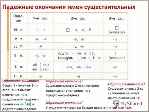 Окончание имён существительных во всех падежах 1 склонения