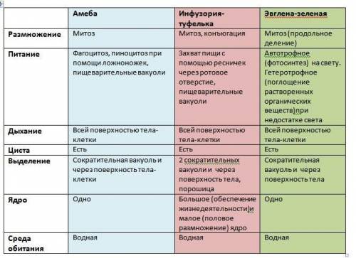 Таблица про: амебы,инфузория туфелька,эвглена зеленая. 1 как они размножаются 2 питаются 3 дышат 4 е