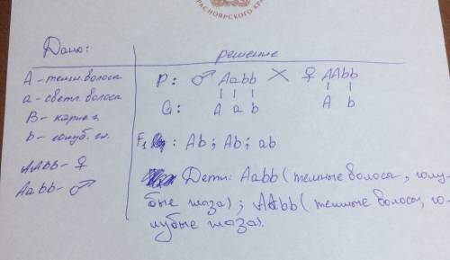 1. что такое аэробное окисление? какие продукты образуются при аэробном окислении глюкозы? 2. мейоз,