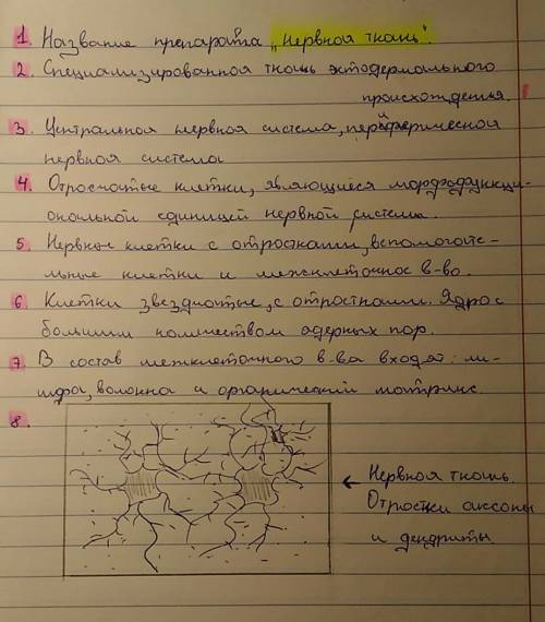 Клетки и ткани под микроскопом нужно заполнить таблицу ткань: мягкая мышца 1.название препарата. нер