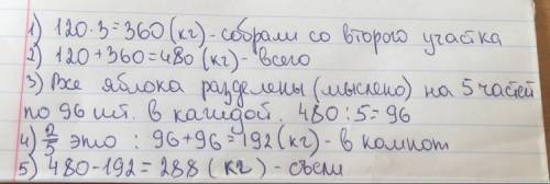 Ссадового участка собрали 120 кг. яблок а с другого дерева в 3 раза больше. в компот улито двепятых