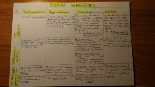 Где находятся и функции: соединительной ,мышечной и нервной тканей