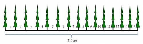 Вдоль прямой аллеи посадили 15 кустов на одинаковом друг от друга расстоянии. найдите расстоянии меж