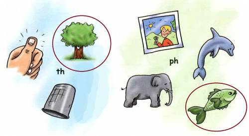 Say and circle the odd one out (th)(ph) дерево фото дельфин слон рыба наперсток ноготь