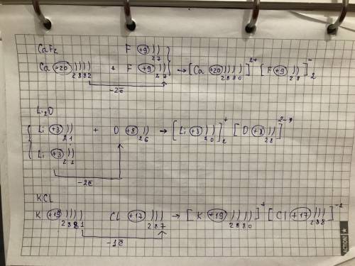 Составьте схемы образования ионной связи для веществ : caf2, li2o, kcl