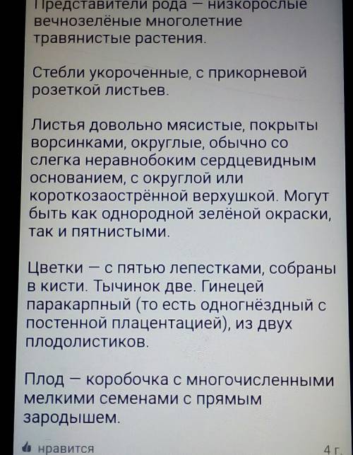 Составьте план морфологического описания фиалки 1) жизненная форма 2) однолетние или многолетние рас