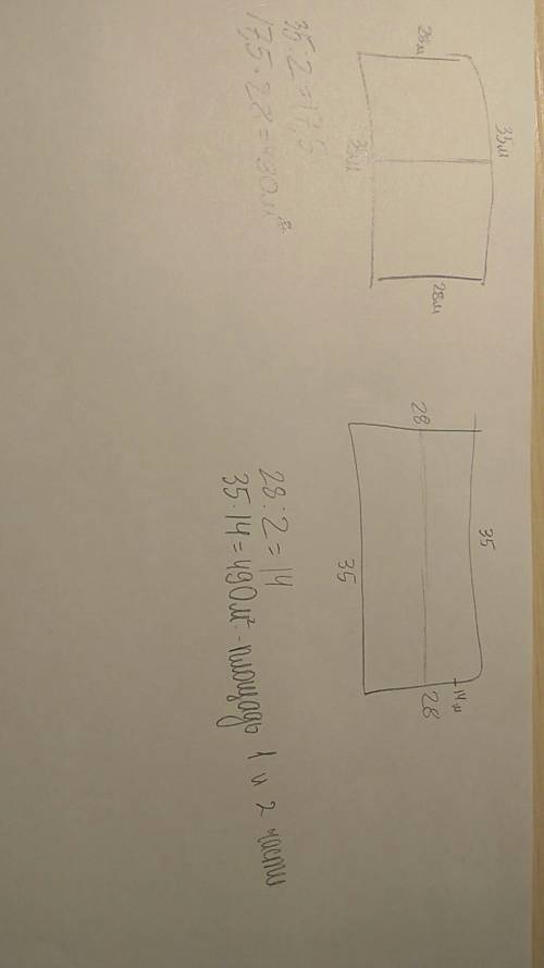 Земельный участок прямоугольной формы длиной 35 м и шириной 28 м раздели забором пополам. найди площ