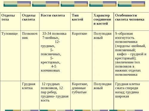 Отделы тела отделы скелета кости скелета типы костей характер соединения костей особенности скелета