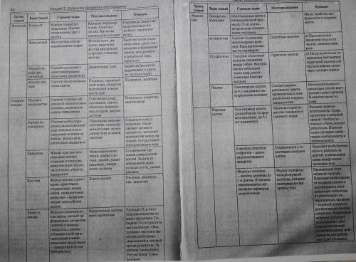 Столбик по тканям составить, хз какой, просто про ткани.