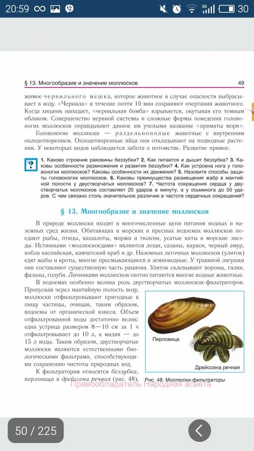 10 ! тема головоногие 1) среда обитания 2) внешний вид 3) внутренний вид 4) пищеварительная систем