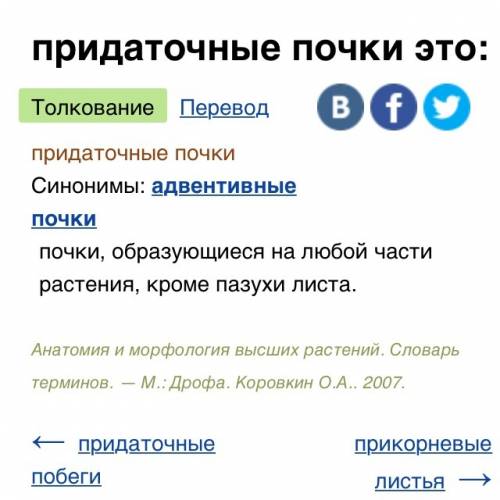 Придаточные почки побега могут быть расположены на