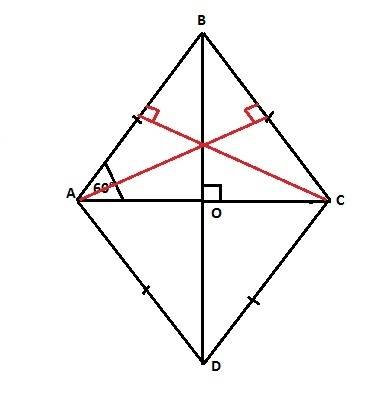 Вромбе abcd угол а = 120°, bd = 32. найдите высоты ромба. ! 30