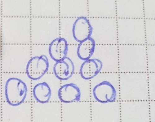Курочка ряба сложила на столе снесенные 10 яичек в виде треугольника. сколько рядов у нее получилось