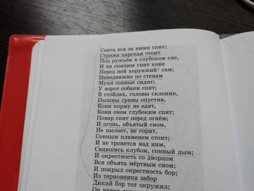 Спящая царевна. ответы на вопросы 1) описание царевны 2)что подавили волшебницы? 3)как выглядела зла