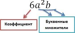 Объясните тему одночлены так, чтобы можно было легко запомнить как решать., а то учебник прочитал