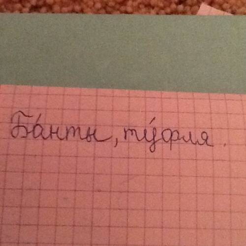 Как правильно поставить ударение в словах: банты,туфля.