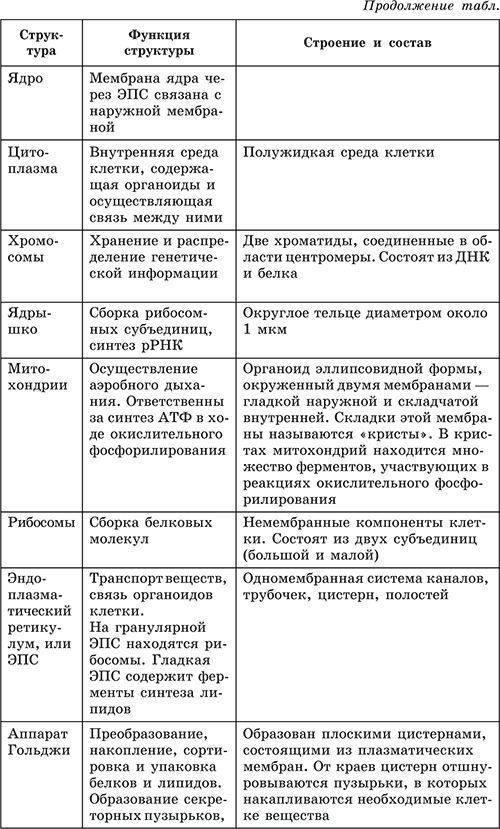 Строение клеток таблица 1.колонка части клеток 2. строение 3. функции