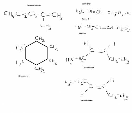 2метил пентен 1 3 изомера и 3 гомолога подробно объясните. заранее