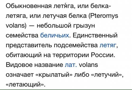 Сообщение краткое об белке-летяге буквально 10-11 предложений (4 класс)