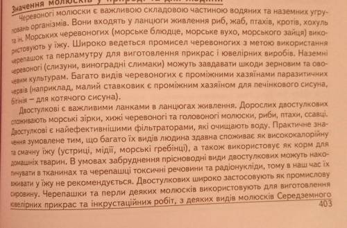 Значення молюсків у природі. значення молюсків в житті людини. будь ласка