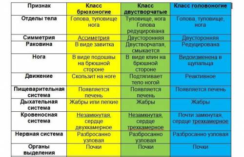 Таблица по биологии 7 класс тип моллюски 1. признаки типа 2. классы 3. признаки класса 4. представит