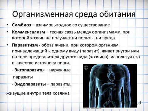 Назовите особенности организменной среды обитания: