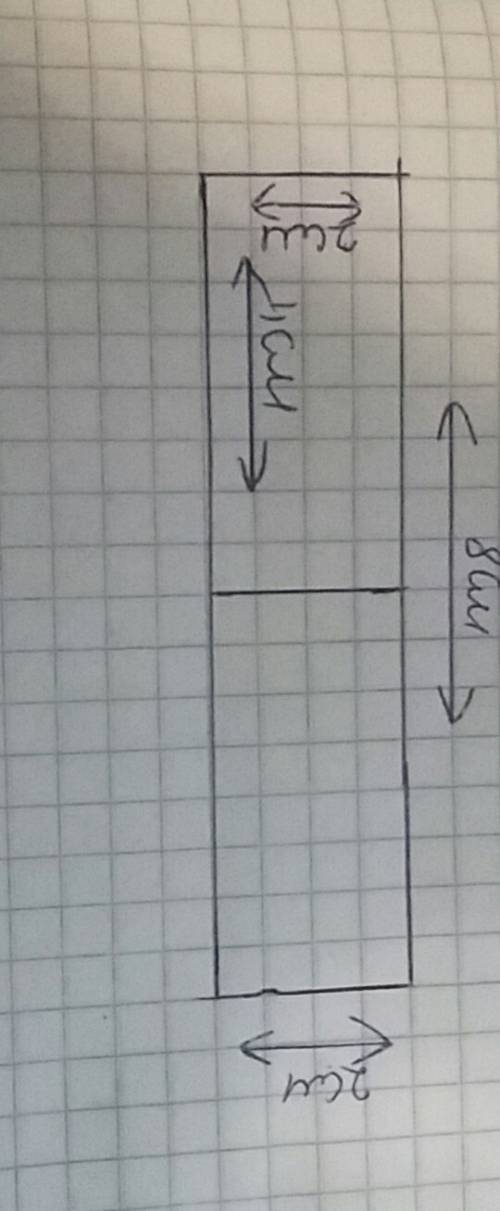 Проведи прямую в прямоугольнике так чтобы площадь одного составит 8 кв см