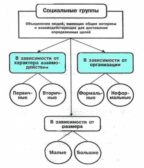 Постройте структурную схему виды социальных групп