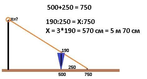 Человек ростом 190 см стоит на расстоянии 5 м от столба на котором весит фонарь длина тени ровна 2.5