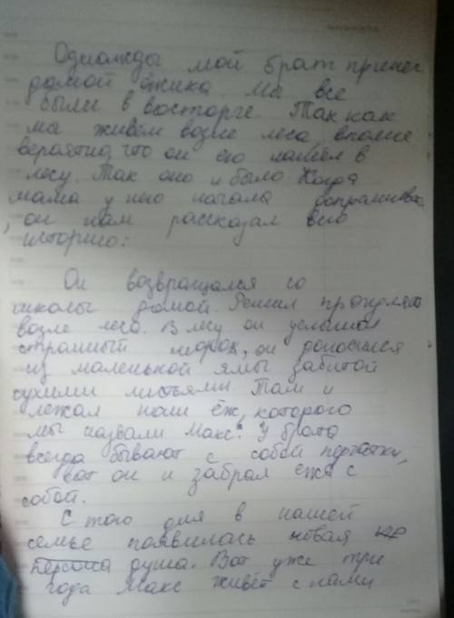 Придумать продолжжение и заключение текста: однажды мой брат принес домой ёжика