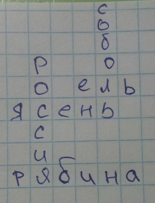 Как расположить слова рябина,россия,соболь,ясень,ель для сканворда