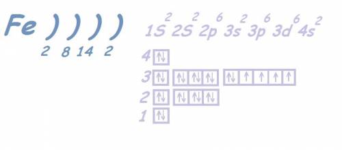 Напишите электронную и электронно-графическую формулу элемента железа.к какому электронному семейств
