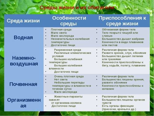 Среды обитания организма почва её ообенности среды, обитатели, при к среде заранее