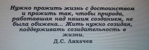 Как вы понимаете слова жить нужно созидая