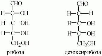 Примеры природных смесей (3 шт), различного агрегатного состояния, и назовите компоненты этих смесей