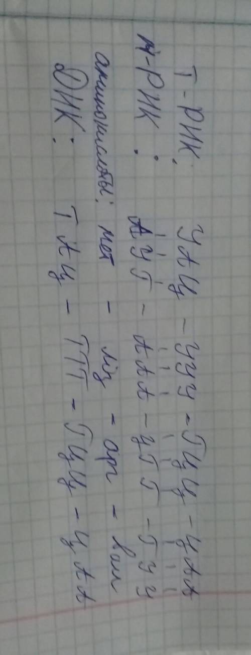 Вбиосинтезе полипептида участвуют молекулы т-рнк с антикодонами уац, , гцц, цаа. определить последов