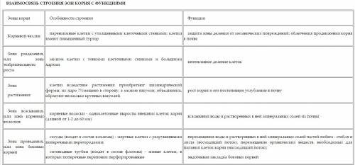 Эссе взаимосвязь функции и строение корня краткое