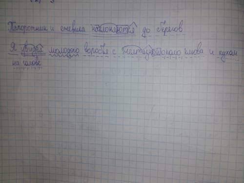 Синтактический разбор приложени, и морфемный разбол слов, то что в скобках таких папоротник и яжевик