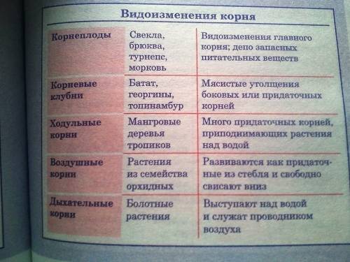 Таблица по биологии виды изменения корней: видоизмененный корень-функции-растения