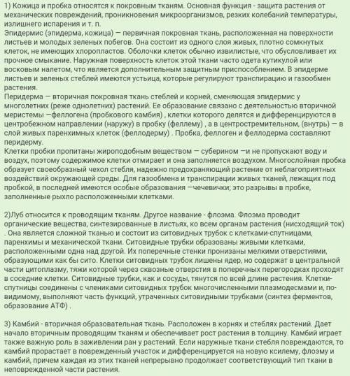 Где расположен луб и из каких частей он состоит.ответе в кратком содержании . 34