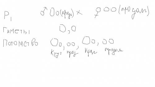 При скрещивании томата с круглыми (0) и продолговатыми (о) были получены томаты круглой и продолгова