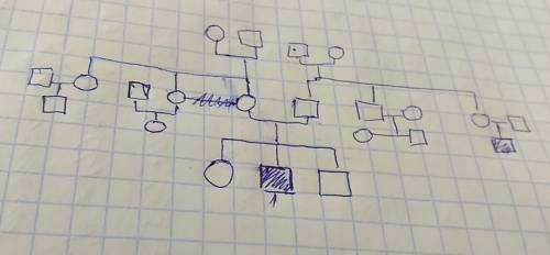 Составьте родословную больного эпилепсией мужчины. родители пробанда, его брат и сестра здоровы. две